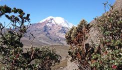 [:es]Hallan el púlsar extragaláctico más brillante conocido hasta la fecha[:]