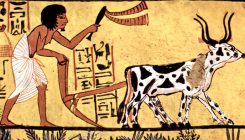 [:es]Ancient farmers irreversibly altered Earth’s face by 3000 years ago[:]
