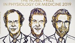 [:es] Nobel de Medicina a los descubridores de la adaptación celular al oxígeno [:]