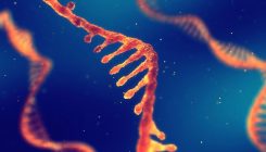 [:es]Lab-made primordial soup yields RNA bases[:]