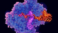 [:es]Super-precise new CRISPR tool could tackle a plethora of genetic diseases[:]