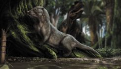 [:es]How the earliest mammals thrived alongside dinosaurs[:]