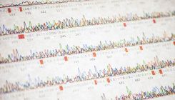 [:es]Controversial ‘gay gene’ app provokes fears of a genetic Wild West[:]