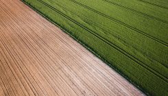 [:es]La agricultura y ganadería ecológicas son peores para el cambio climático[:]