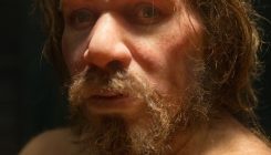 [:es] Did bad luck kill the Neanderthals?[:]