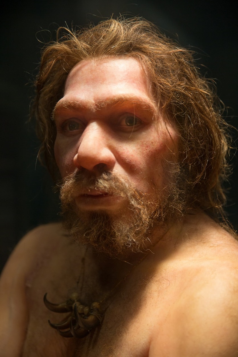 [:es] Did bad luck kill the Neanderthals?[:]
