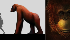 [:es] Reconstruyen la historia del pariente gigante de los orangutanes [:]