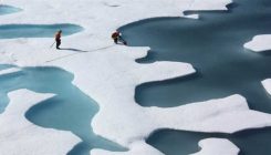 [:es]Un virus surgido del hielo Ártico amenaza a los mamíferos marinos del Pacífico Norte[:]