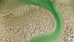 [:es]La vida en Doñana el próximo medio siglo[:]