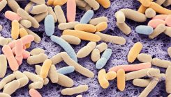 [:es]E. coli bacteria engineered to eat carbon dioxide[:]