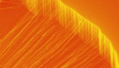 [:es]Un nuevo material de nanotubos conduce el calor en una sola dirección[:]