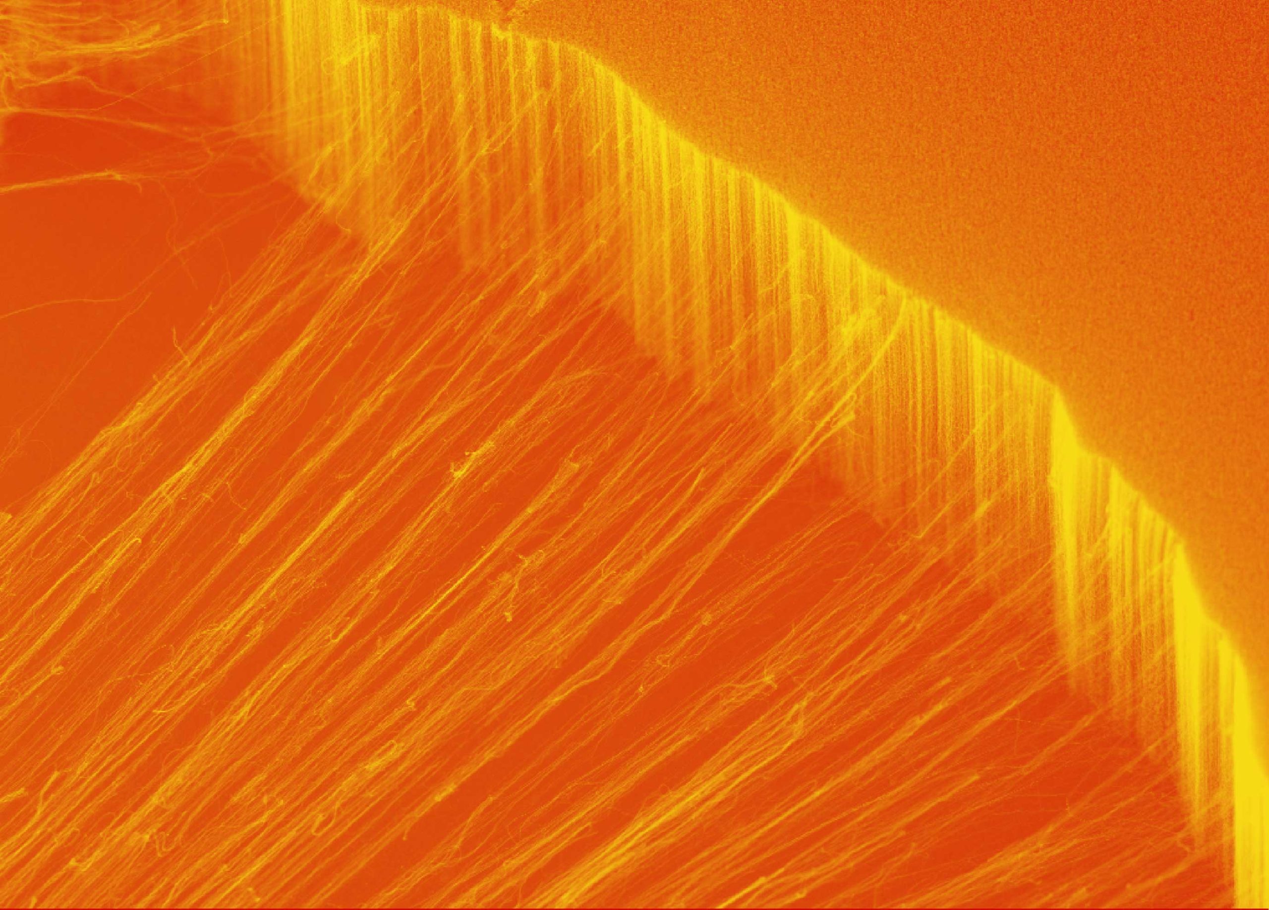 [:es]Un nuevo material de nanotubos conduce el calor en una sola dirección[:]