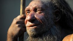 [:es]Early humans domesticated themselves, new genetic evidence suggests[:]