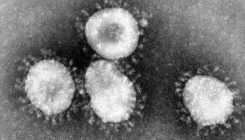 [:es]Wuhango pneumonia-agerraldiaren jatorria sugeak izan daitezkeela argitu dute [:]