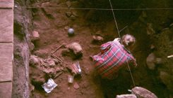 [:es]El ADN antiguo confirma el origen del ‘Homo sapiens’ en cuatro linajes [:]