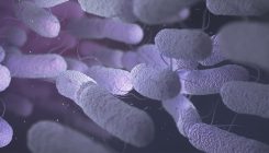 [:es]The microbes in your gut could predict whether you’re likely to die in the next 15 years[:]