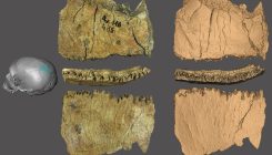 [:es]Neandertalenak direnak (eta ez direnak), Axlorren[:]