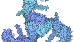 [:es]The quest to decipher how the body’s cells sense touch[:]