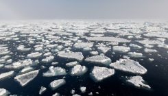 [:es]Ozone-depleting gases might have driven extreme Arctic warming[:]