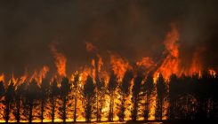 [:es]The race to decipher how climate change influenced Australia’s record fires[:]