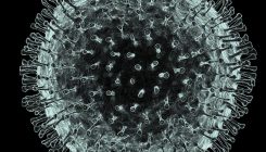 [:es]China coronavirus: how many papers have been published?[:]