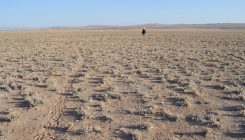 [:es]Así se convierte la tierra en un desierto[:]