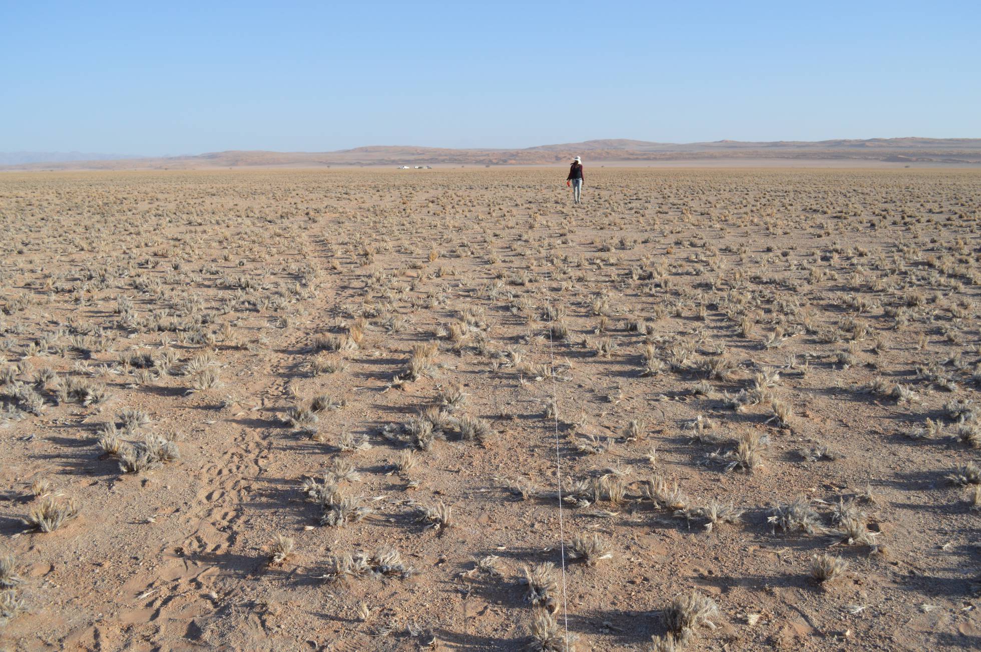 [:es]Así se convierte la tierra en un desierto[:]