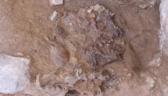 [:es]Hallan a un nuevo neandertal enterrado junto a la «tumba de las flores»[:]