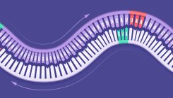 [:es]New Clues About ‘Ambigram’ Viruses With Strange Reversible Genes[:]