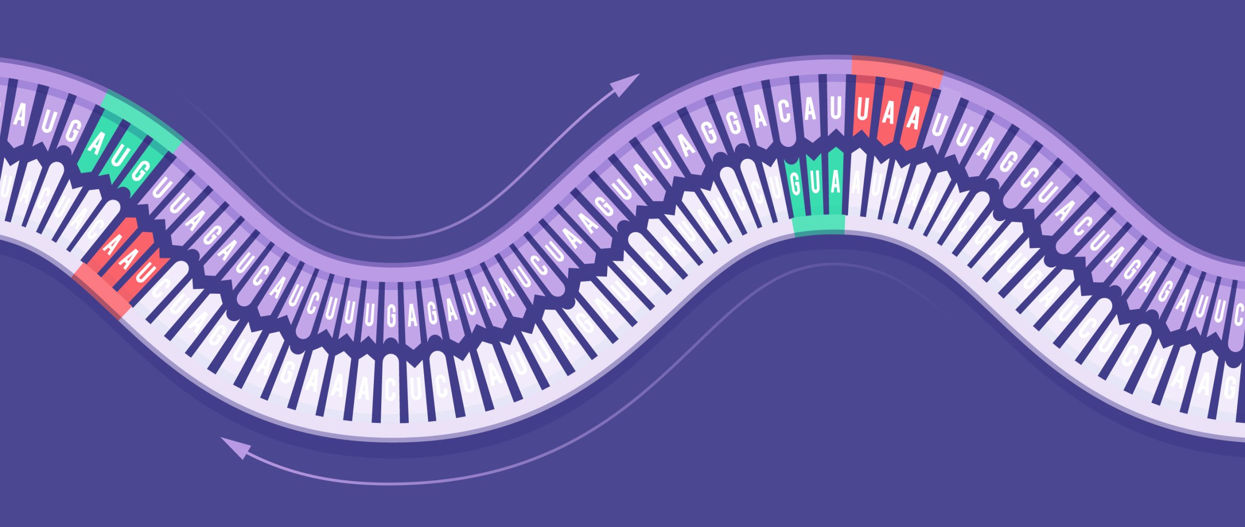 [:es]New Clues About ‘Ambigram’ Viruses With Strange Reversible Genes[:]