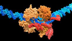 [:es]Super-precise CRISPR tool enhanced by enzyme engineering[:]