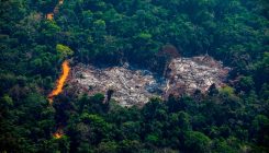 [:es]When will the Amazon hit a tipping point?[:]