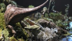 [:es] Los cocodrilos de Teruel también existen[:]