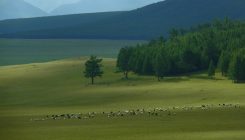 [:es] Ancient Mongolian empires sustained themselves with millet[:]