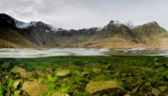 [:es]Billion-Year-Old Algae and Newer Genes Hint at Land Plants’ Origin[:]