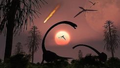 [:es]La oscuridad, y no el frío, fue lo que mató a los dinosaurios[:]