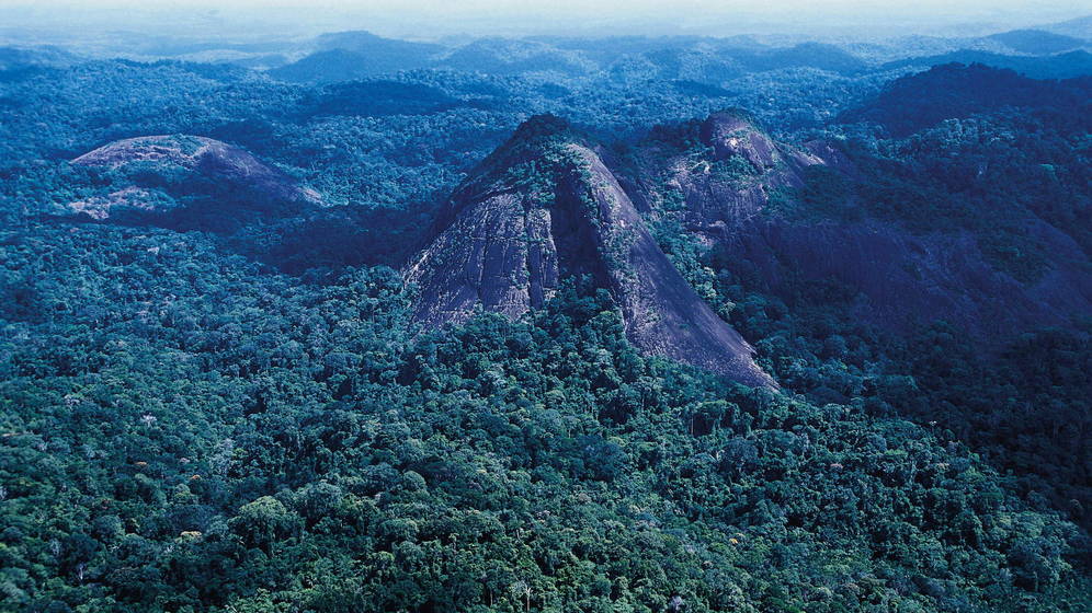 [:es]El pulmón del Amazonas comenzará a emitir CO2 en menos de 15 años[:]