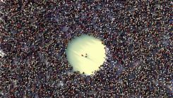[:es]¿Qué es la inmunidad de grupo y cómo puede detener al coronavirus?[:]