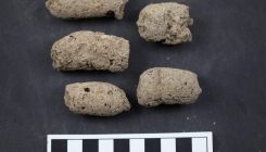 [:es] The origin of the faeces[:]