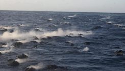 [:es]Un oasis de vida en el lugar más insospechado: dentro de rocas volcánicas bajo el mar[:]