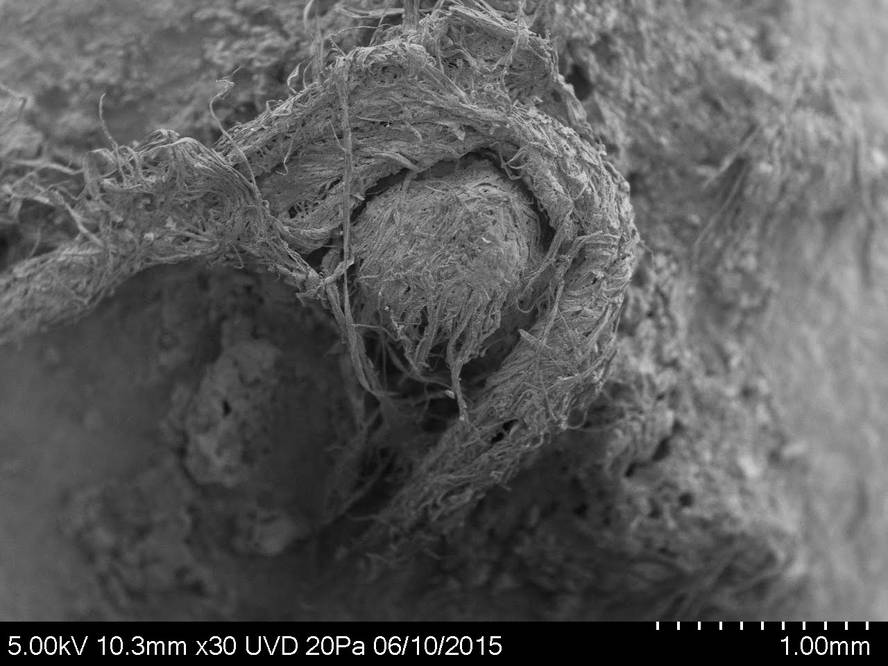 [:es]Neandertalek egindako soka-zati bat aurkitu dute Abri du Marasen[:]