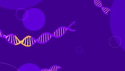 [:es]Where Do New Genes Come From?[:]