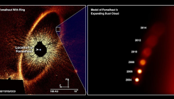 [:es]DNA in Air Can Catalog Hidden Insects All around Us[:]