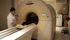 [:es]To Learn Bees’ Secrets, Count Them One by One[:]