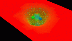 [:es]What Goes On in a Proton? Quark Math Still Conflicts With Experiments.[:]