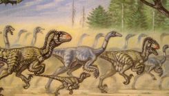 [:es]¿De verdad cazaban en grupo los dinosaurios?[:]