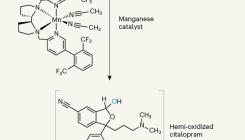 [:es]Manganese catalyst enables exploration of the magic methyl effect[:]