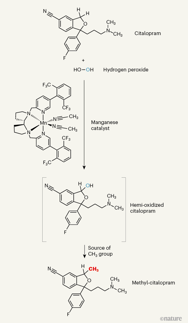 [:es]Manganese catalyst enables exploration of the magic methyl effect[:]