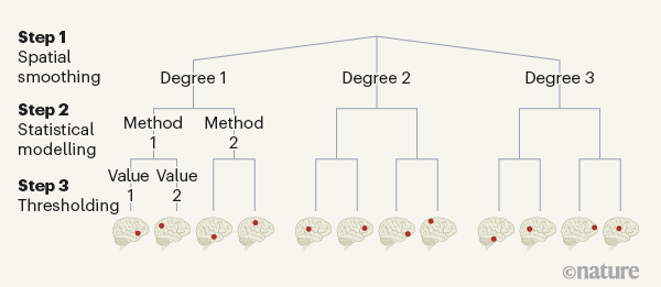 [:es]Neuroimaging results altered by varying analysis pipelines[:]