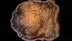 [:es]Carbon dating, the archaeological workhorse, is getting a major reboot[:]